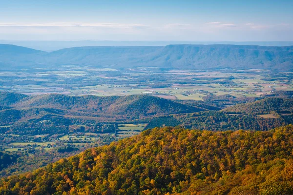 Vista da cor do outono no Vale do Shenandoah, da Skyline Drive — Fotografia de Stock