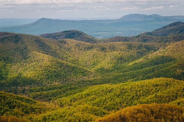 Vista da cor da primavera nas Montanhas Blue Ridge, em Shenandoah — Fotografia de Stock