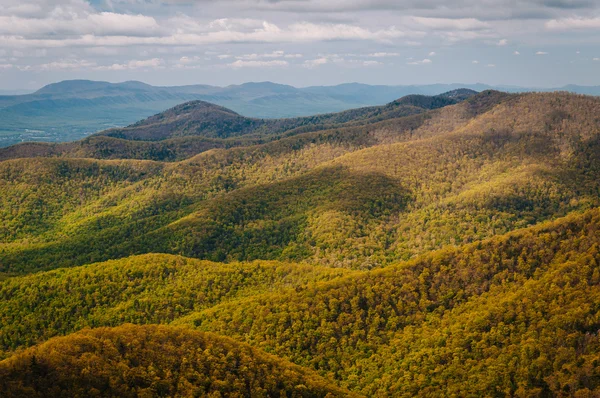 Veduta del colore primaverile nelle Blue Ridge Mountains, a Shenandoah — Foto Stock