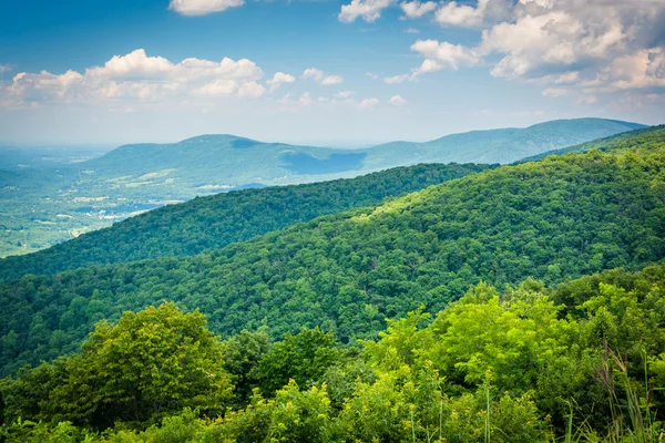 Uitzicht op de Blue Ridge Mountains en de Shenandoah vallei, uit de hemel — Stockfoto