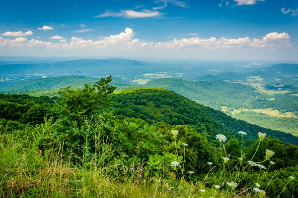 Pohled na Blue Ridge hory a údolí Shenandoah, z oblohy — Stock fotografie