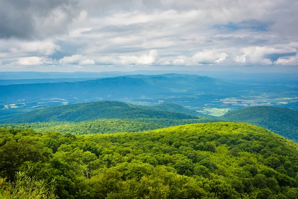 Pohled na Blue Ridge hory a údolí Shenandoah z Skyl — Stock fotografie