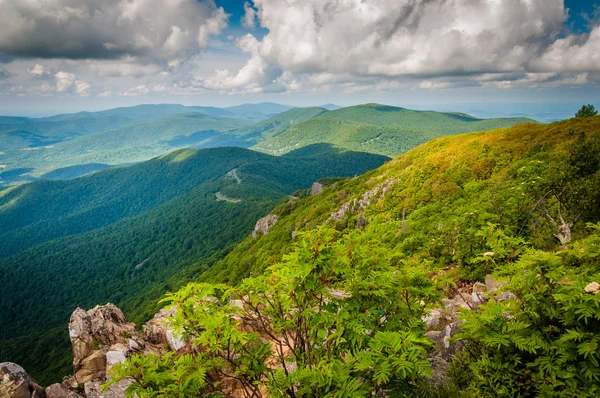 Вид на горы Blue Ridge и долину Шенандоа со Стона — стоковое фото