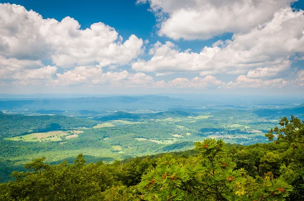 Pohled na Blue Ridge hory a údolí Shenandoah v Shenan — Stock fotografie