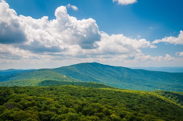 Widok na Blue Ridge Mountains i dolinie Shenandoah, w Shenan — Zdjęcie stockowe