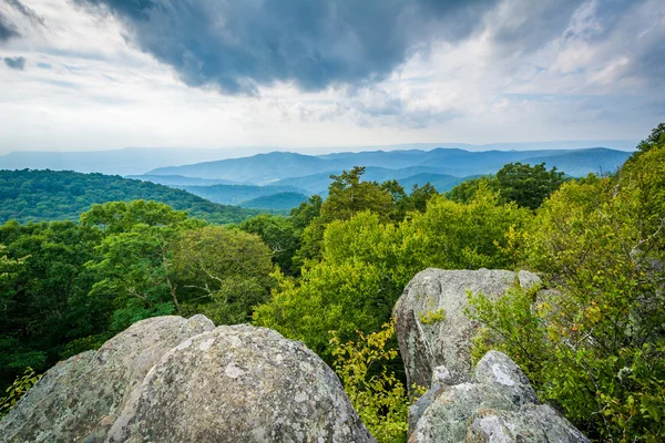 Vista das Montanhas Blue Ridge da Montanha Bearfence, em She — Fotografia de Stock