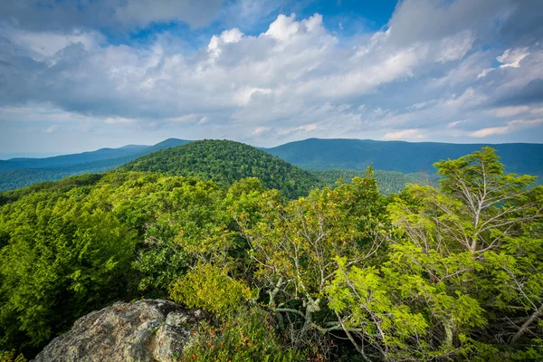 Vue des montagnes Blue Ridge depuis la montagne Bearfence, à She — Photo