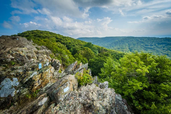 Weergave van de Blue Ridge Mountains van Bearfence berg, She — Stockfoto