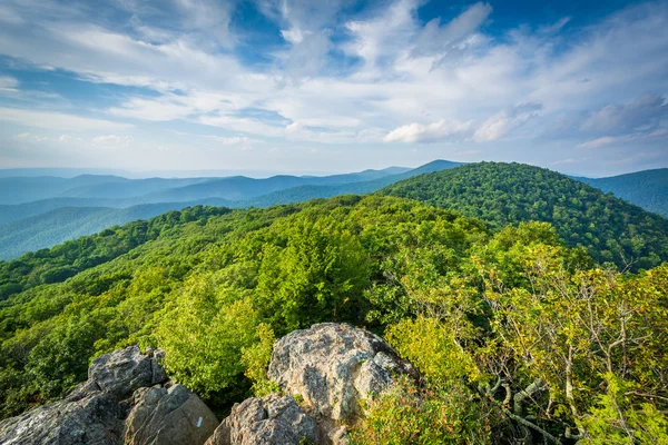 View of the Blue Ridge Mountains from Bearfence Mountain, in She — Stock Photo, Image