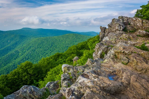 View of the Blue Ridge Mountains from Hawksbill Summit, in Shena — Stock Photo, Image