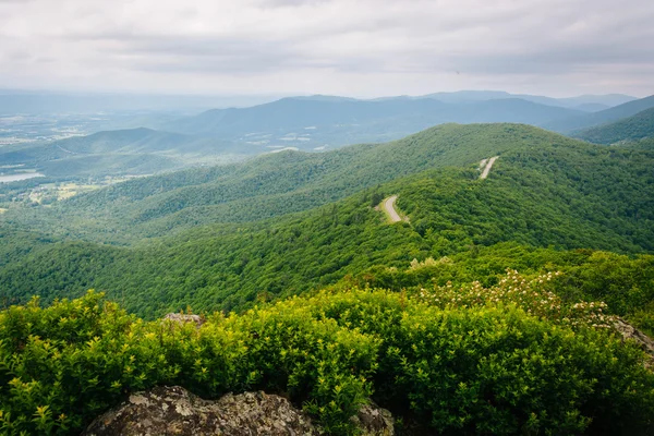 Vista das Montanhas Blue Ridge de Little Stony Man Cliffs, i — Fotografia de Stock