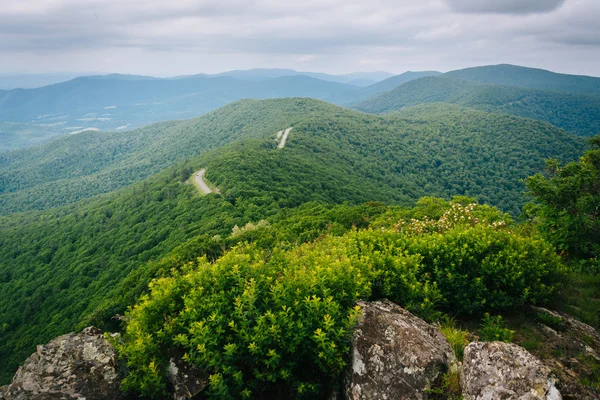 Weergave van de Blue Ridge Mountains van weinig steenachtige Man kliffen, ik — Stockfoto