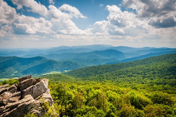 Vista das Montanhas Blue Ridge a partir da Montanha North Marshall em — Fotografia de Stock