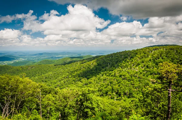 Θέα από το Blue Ridge βουνό από δίσκο στον ορίζοντα, για Shenando — Φωτογραφία Αρχείου