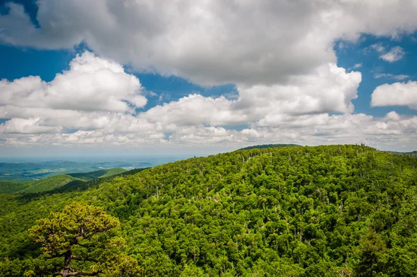 View of the Blue Ridge Mountains from Skyline Drive, in Shenando — Stock Photo, Image