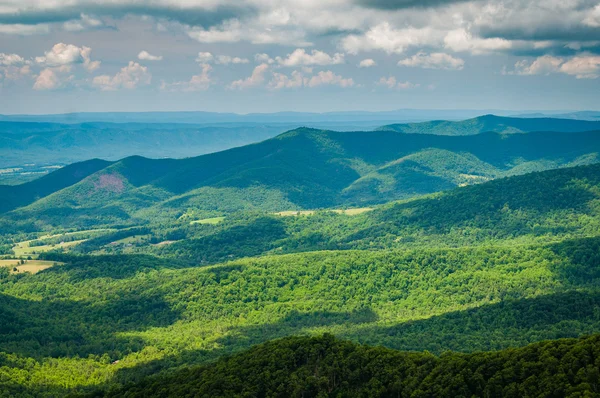 Weergave van de Blue Ridge Mountains van Skyline Drive, in Shenando — Stockfoto