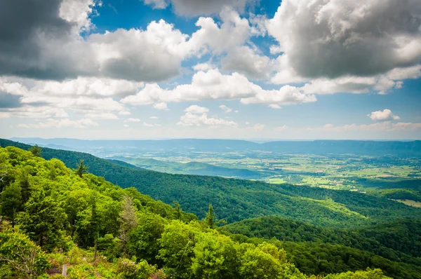 Vista de las montañas Blue Ridge desde Skyline Drive, en Shenando —  Fotos de Stock