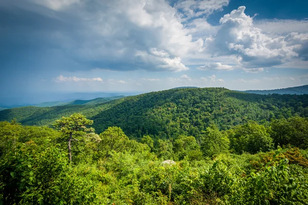 Blue ridge dağlarının manzarası sürücü shenandoa içinde görünüm — Stok fotoğraf