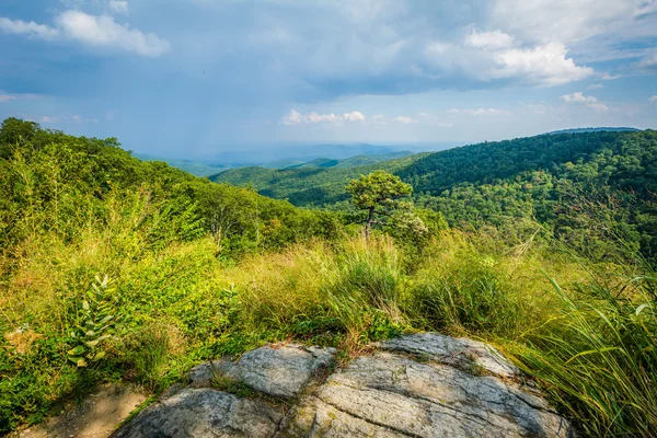 蓝岭山脉从天际线驱动器在 shenandoa 中的视图 — 图库照片