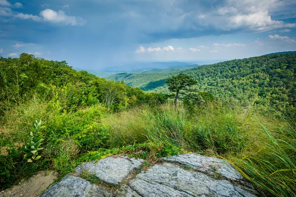 蓝岭山脉从天际线驱动器在 shenandoa 中的视图 — 图库照片