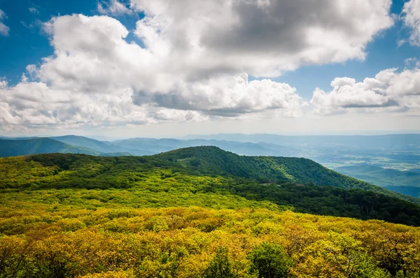 View of the Blue Ridge Mountains from Stony Man Mountain, in She — Stock Photo, Image