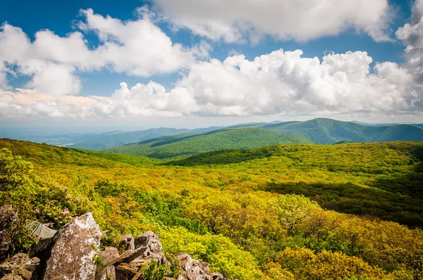 Vista das Montanhas Blue Ridge da Montanha Stony Man, em She — Fotografia de Stock