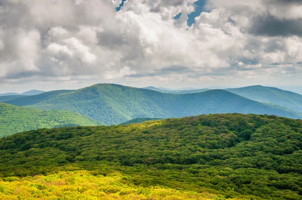 Vista das Montanhas Blue Ridge da Montanha Stony Man, em She — Fotografia de Stock