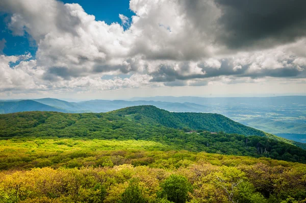 มุมมองของภูเขา Blue Ridge จากภูเขา Stony Man ในเธอ — ภาพถ่ายสต็อก