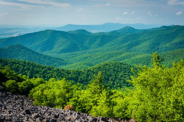 Pohled na Blue Ridge od summitu Blackrock, v Shenandoah Nati — Stock fotografie