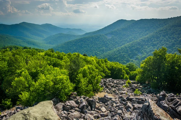 Vue de la crête bleue depuis le sommet de Blackrock, à Shenandoah Nati — Photo