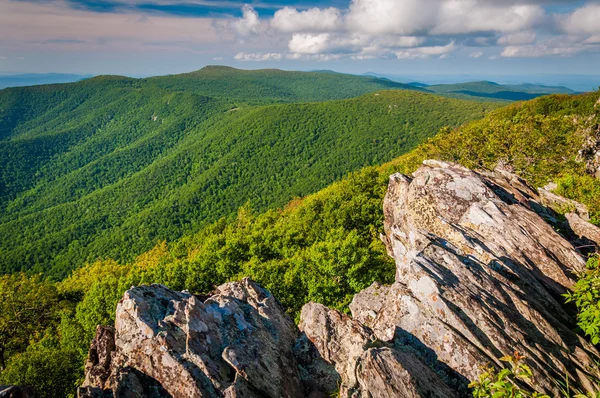 Vista da Blue Ridge da Cúpula Hawksbill, em Shenandoah Nati — Fotografia de Stock