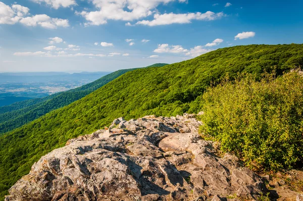 Vue de la vallée de la Shenandoah et des Appalaches depuis Cre — Photo