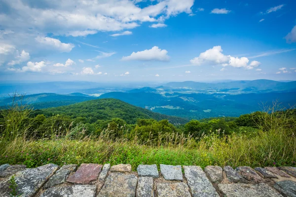 Pohled na údolí Shenandoah a Blue Ridge Mountains z Skyl — Stock fotografie