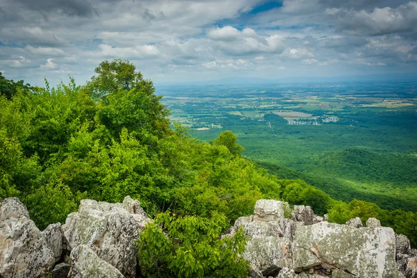 View of the Shenandoah Valley and Blue Ridge Mountains from the — Stock Photo, Image