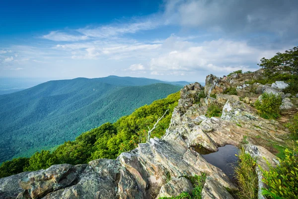 Shenandoah Vadisi ve Blue Ridge Hawksbill Summer Görünümü