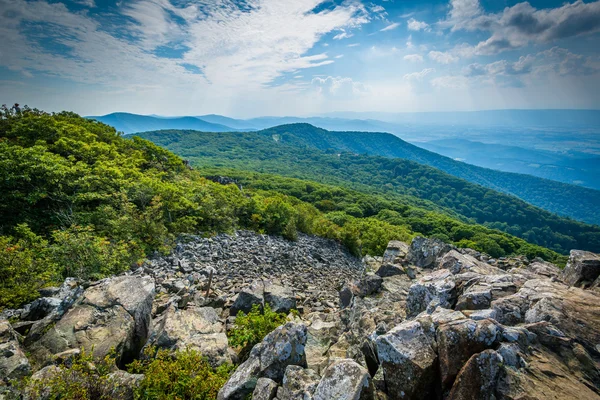 Utsikt över Shenandoah Valley och Blue Ridge från Stony Man fjällen — Stockfoto
