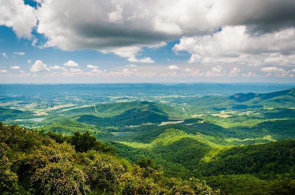 Weergave van de Shenandoah vallei van de Skyline Drive, in Shenandoah — Stockfoto