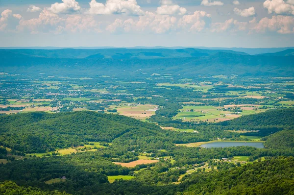 Vista do Vale do Shenandoah de Skyline Drive, em Shenandoah — Fotografia de Stock