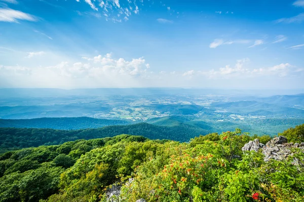 Pohled na údolí Shenandoah z kamenné hory muž, v Shenan — Stock fotografie