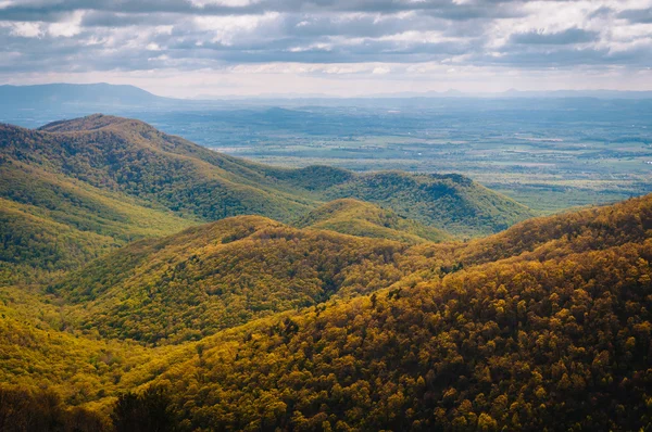 Pohled na jarní barvy v Blue Ridge Mountains z Blackrock — Stock fotografie