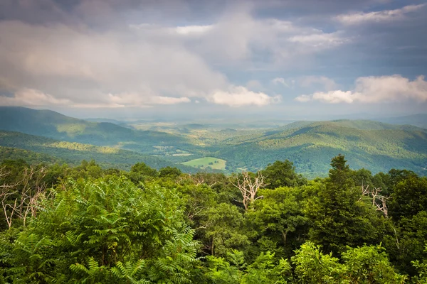 Blue Ridge Dağları, Shenandoah Milli Parkı'nda, V görünümünü — Stok fotoğraf