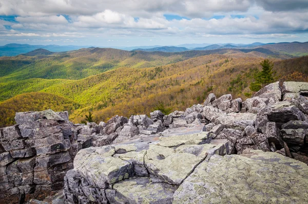 Pohled na jarní barvy v Blue Ridge Mountains z po kamenité — Stock fotografie