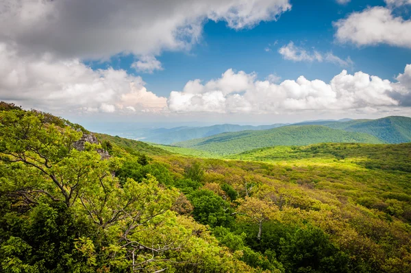 Vista de las montañas Blue Ridge desde Stony Man Mountain, en She — Foto de Stock