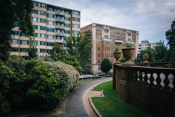 Bushes and walkway at Meridian Hill Park, in Washington, DC. — Stock Photo, Image
