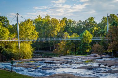 Köprü üzerinde sazlık, Falls Park Greenville, Güney Caro