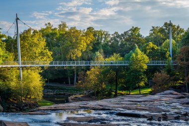 Köprü üzerinde sazlık, Falls Park Greenville, Güney Caro
