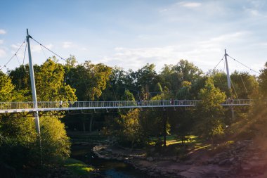 Köprü üzerinde sazlık, Falls Park Greenville, Güney Caro