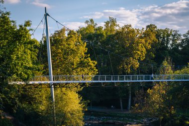 Köprü üzerinde sazlık, Falls Park Greenville, Güney Caro