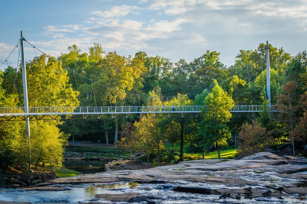 Köprü üzerinde sazlık, Falls Park Greenville, Güney Caro — Stok fotoğraf