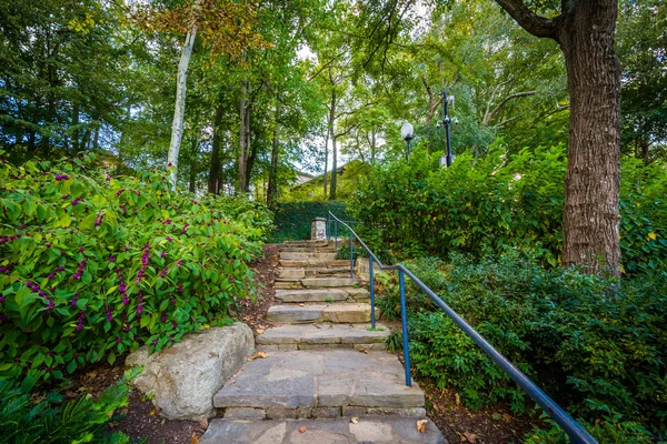 Jardín y escaleras en el Falls Park en el Reedy, en Greenville , — Foto de Stock